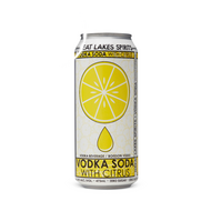 Great Lakes Spirits Vodka Soda With Citrus