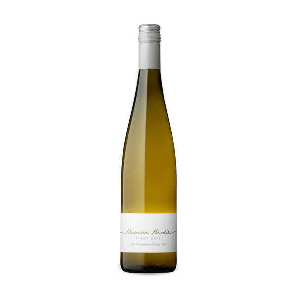 Norman Hardie County Pinot Gris 2017