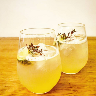 Lemon Elderflower Spritzer