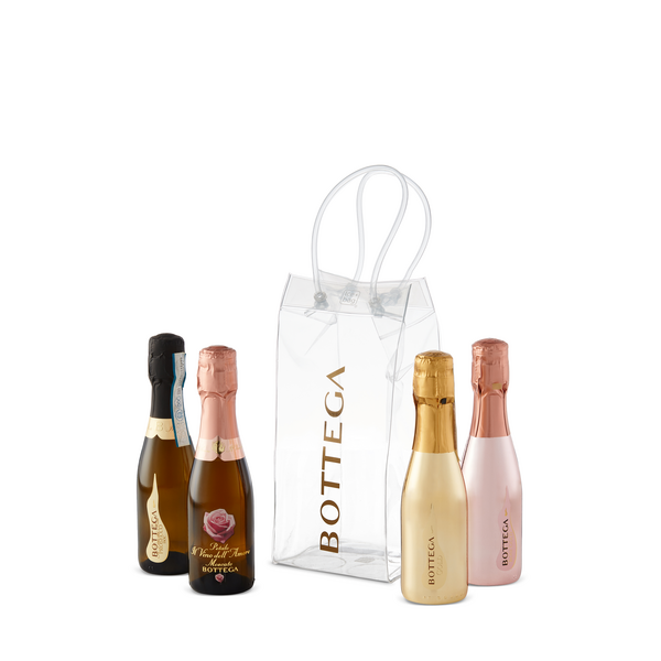 Bottega Mini Sparkling Icebag Set