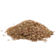 Cumin seed