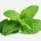 Mint Leaves