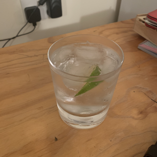 Gin And Tonic