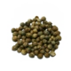 Coriander