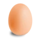 Egg yolk