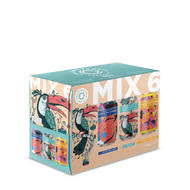 Collective Arts Mix 6 Pack