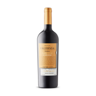 Falernia Pedriscal Single Vineyard Carmenère Reserva 2020