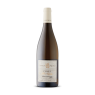 Charly Nicolle Per Aspera Chablis 2022
