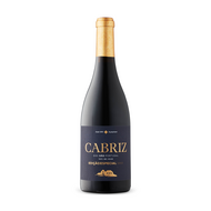 Cabriz Edicao Especial Tinto 2015