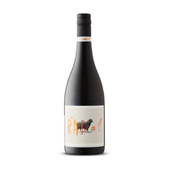 Hugh Hamilton The Rascal Shiraz 2021