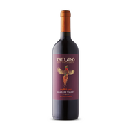 Tbilvino Alazani Valley Medium Sweet Red 2021