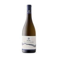Sur La Pointe Des Pieds Organic AOP Minervois 2023