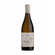 Mullineux Schist Roundstone Chenin Blanc 2023