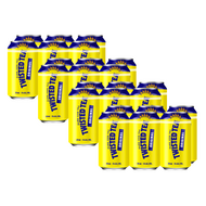 Twisted Tea Import (Malt)
