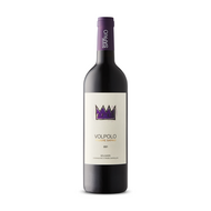 Podere Sapaio Volpolo 2021