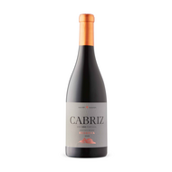 Cabriz Reserva Red DOC 2019