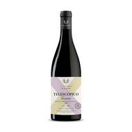 Frontonio Telescópico 2020