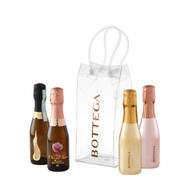 Bottega Mini Sparkling Icebag Set