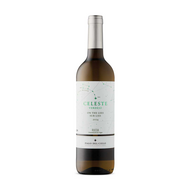 Pago del Cielo Celeste on the Lees Sur Lies Verdejo 2024