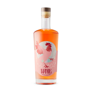 Wink Canadian Gin by Kinsip