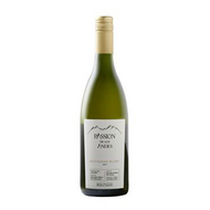 Passion De Los Andes Sauvignon Blanc 2019