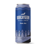 Bobcaygeon Common Loon