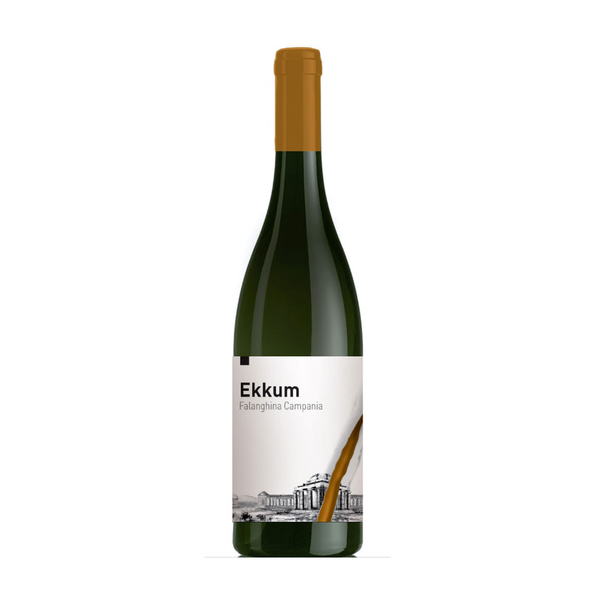 Ekkum 2019