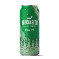 Bobcaygeon Northern Lights