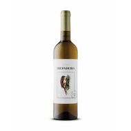 Trempadeira Branco Douro 2023