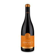 Casa Americo Jaen Dao Red 2019