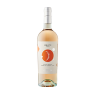 Novaripa Monatic Amber Terre di Chieti Pinot Grigio 2020