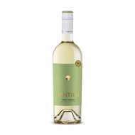 Fantini Pinot Grigio