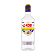 Gordon\'s Dry Gin PET