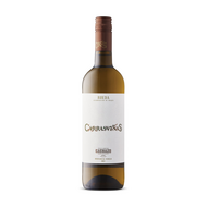 Félix Lorenzo Cachazo Carrasviñas Verdejo 2023