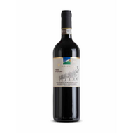 Valdipiatta Vigna d\'Alfiero Vino Nobile di Montepulciano 2006