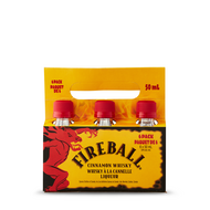 Fireball 6 Pack Carrier