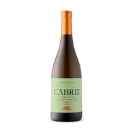 Cabriz Reserva White Dao 2023