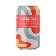 Collective Arts Citrus Gin Collins