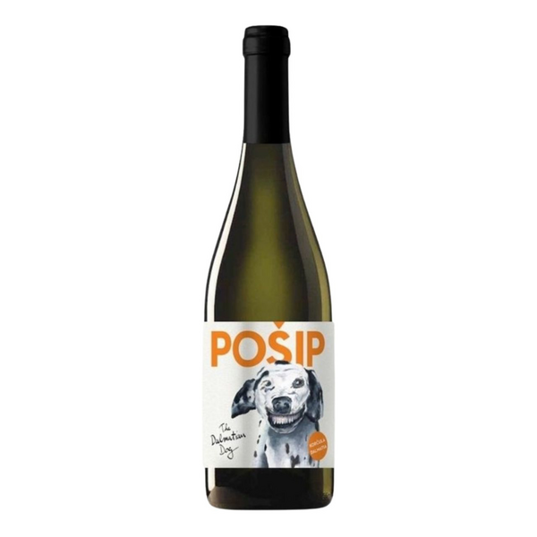 Dalmatian Dog Posip 2019