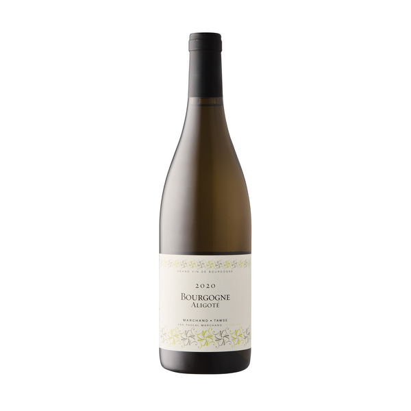 Marchand-Tawse Aligoté 2020