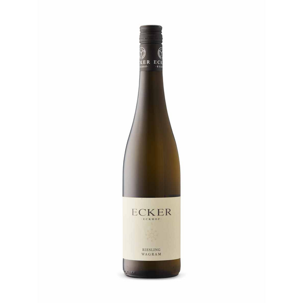 Ecker Riesling Wagram 2024