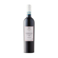 Luzzatto Barbera d\'Alba KPM 2022
