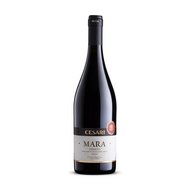 Cesari Mara Rosso