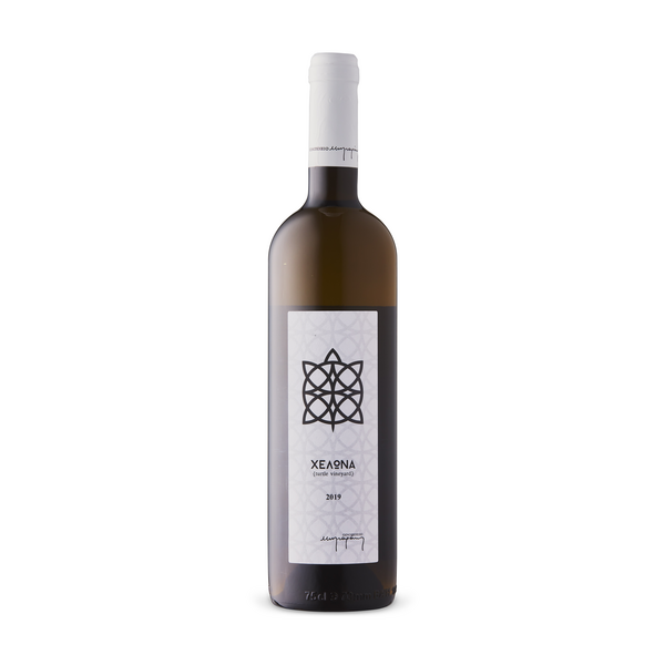 Turtle White 2019