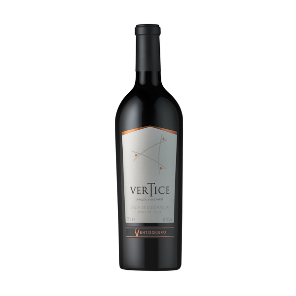 Ventisquero Vertice 2019