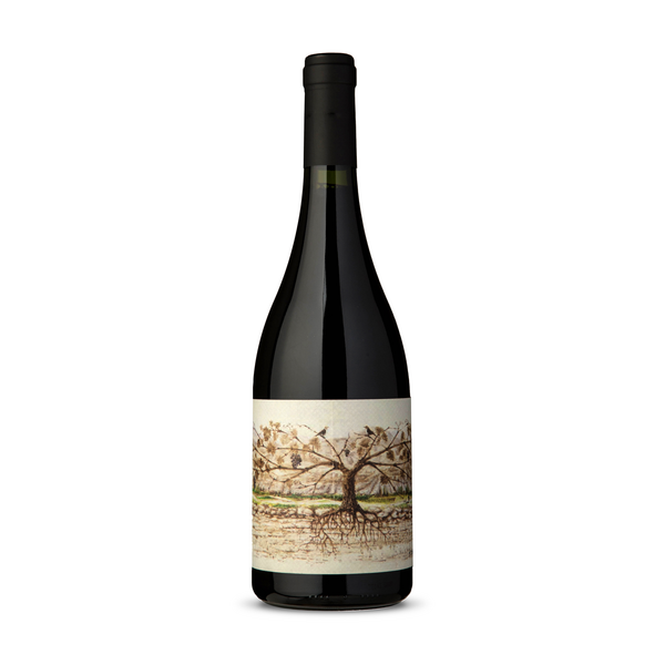 Almacén de la Quebrada Cachí Malbec 2020