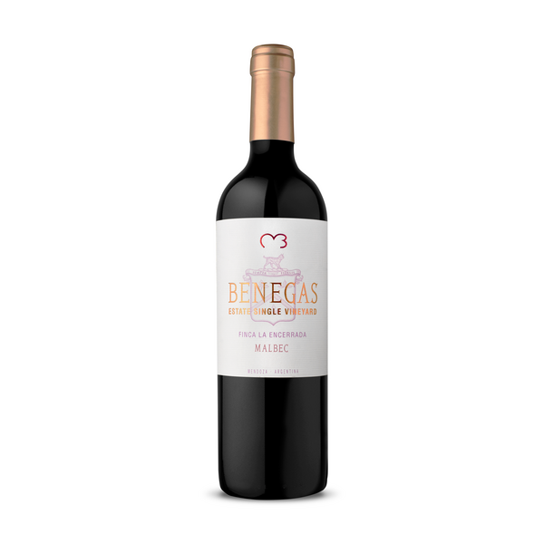 Benegas Lynch La Encerrada Vineyard Malbec 2019