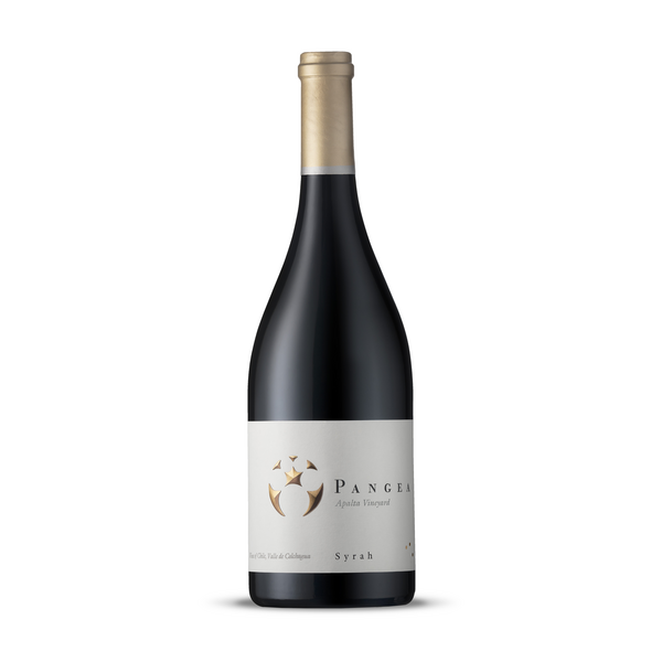 Viña Ventisquero Pangea Apalta Vineyards Syrah 2016