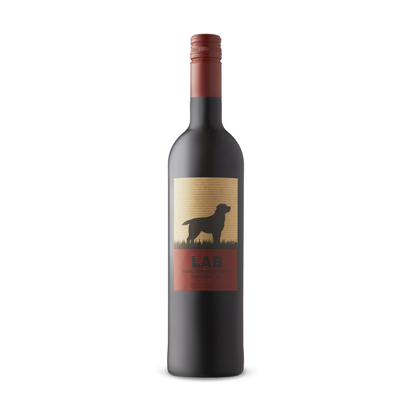 Lab Red Lisboa VR