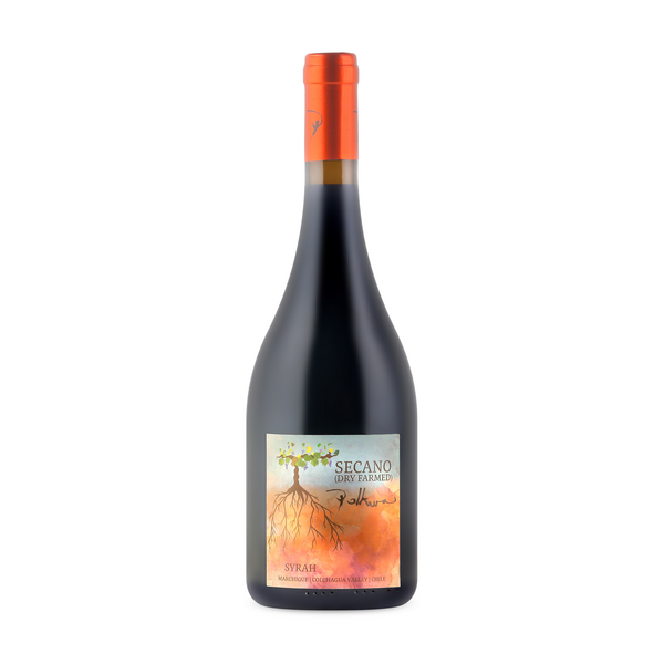 Polkura Secano Dry Farmed Syrah 2021